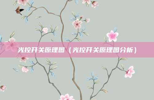 光控开关原理图（光控开关原理图分析）