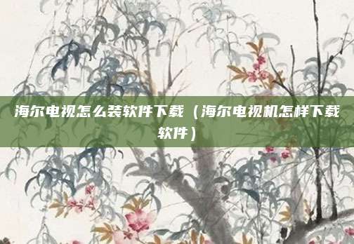 海尔电视怎么装软件下载（海尔电视机怎样下载软件）