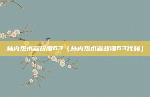 林内热水器故障63（林内热水器故障63代码）