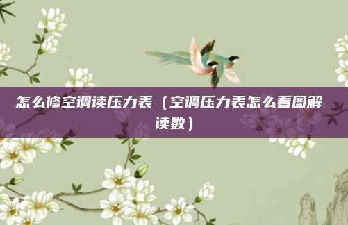 怎么修空调读压力表（空调压力表怎么看图解 读数）