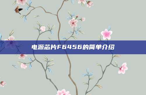 电源芯片F6456的简单介绍