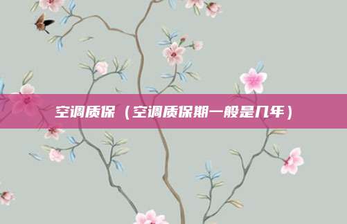 空调质保(空调质保期一般是几年)