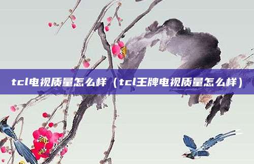 tcl电视质量怎么样(tcl王牌电视质量怎么样)