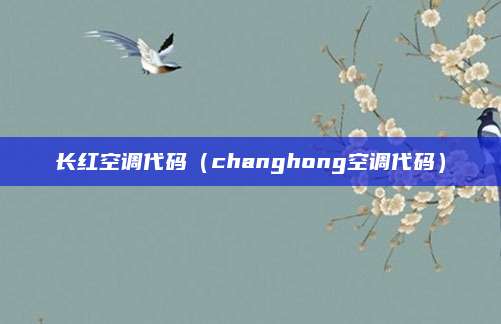 长红空调代码(changhong空调代码)