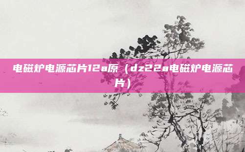 电磁炉电源芯片12a原(dz22a电磁炉电源芯片)