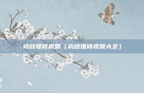 功放维修视频（功放维修视频大全）