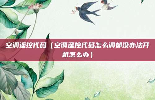 空调遥控代码(空调遥控代码怎么调都没办法开机怎么办)