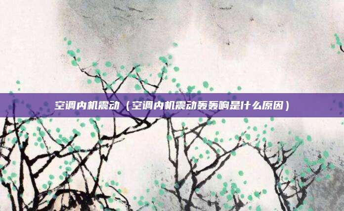 空调内机震动（空调内机震动轰轰响是什么原因）