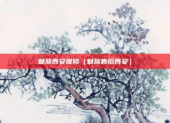 魅族西安维修（魅族售后西安）