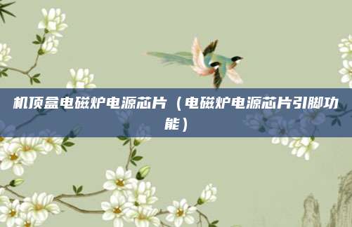 机顶盒电磁炉电源芯片（电磁炉电源芯片引脚功能）