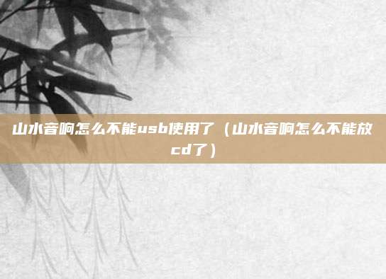 山水音响怎么不能usb使用了（山水音响怎么不能放cd了）