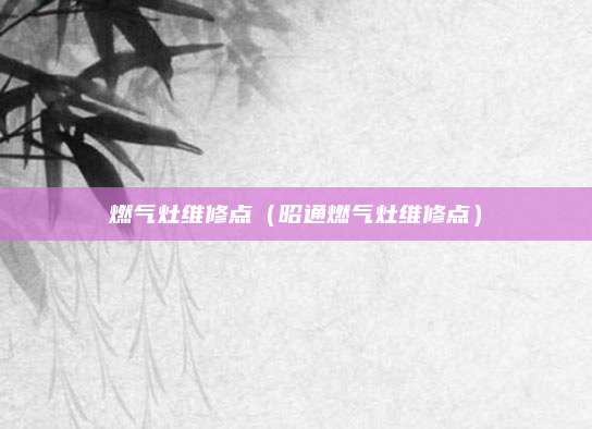 燃气灶维修点（昭通燃气灶维修点）