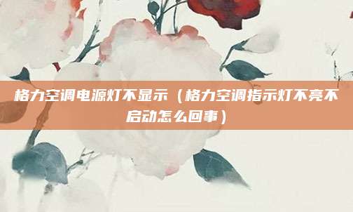 格力空调电源灯不显示(格力空调指示灯不亮不启动怎么回事)
