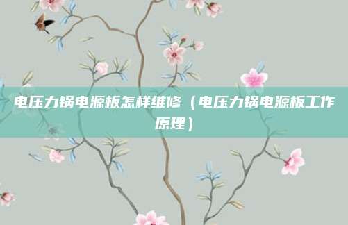电压力锅电源板怎样维修(电压力锅电源板工作原理)