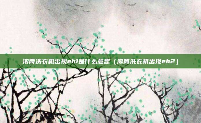 滚筒洗衣机出现eh1是什么意思（滚筒洗衣机出现eh2）