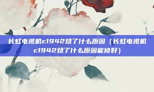 长虹电视机c1942烧了什么原因（长虹电视机c1942烧了什么原因能修好）