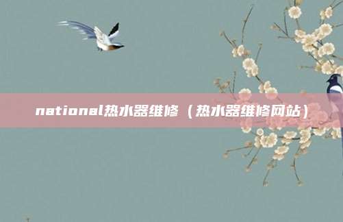 national热水器维修（热水器维修网站）