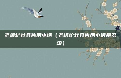 老板炉灶具售后电话(老板炉灶具售后电话是多少)