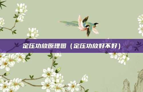 定压功放原理图(定压功放好不好)