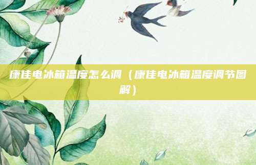 康佳电冰箱温度怎么调(康佳电冰箱温度调节图解)