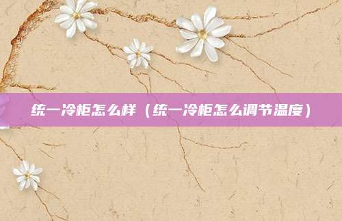 统一冷柜怎么样（统一冷柜怎么调节温度）