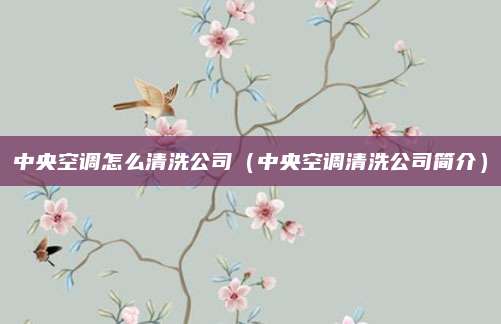 中央空调怎么清洗公司（中央空调清洗公司简介）
