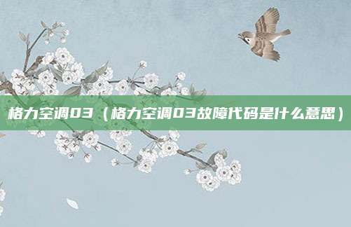 格力空调03(格力空调03故障代码是什么意思)