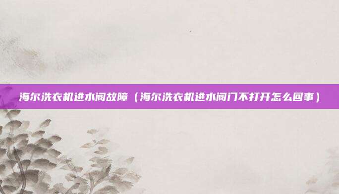 海尔洗衣机进水阀故障（海尔洗衣机进水阀门不打开怎么回事）