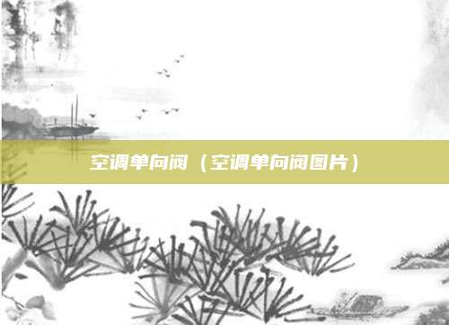 空调单向阀（空调单向阀图片）
