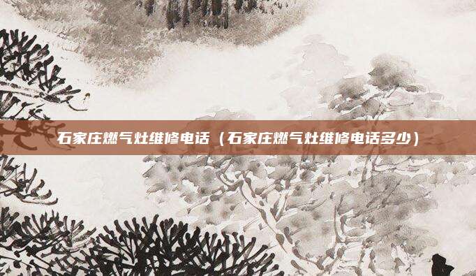 石家庄燃气灶维修电话（石家庄燃气灶维修电话多少）
