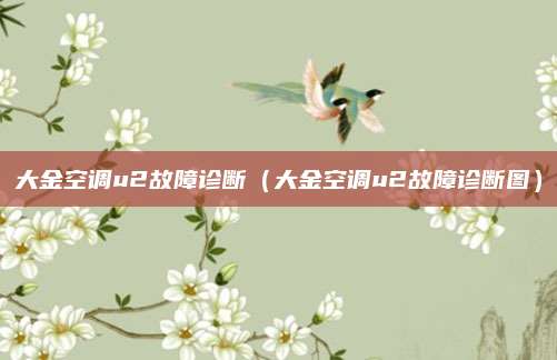 大金空调u2故障诊断（大金空调u2故障诊断图）