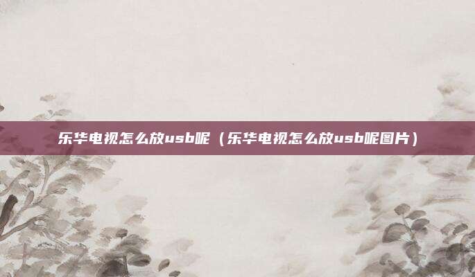 乐华电视怎么放usb呢（乐华电视怎么放usb呢图片）