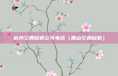 杭州空调移机公司电话(萧山空调移机)