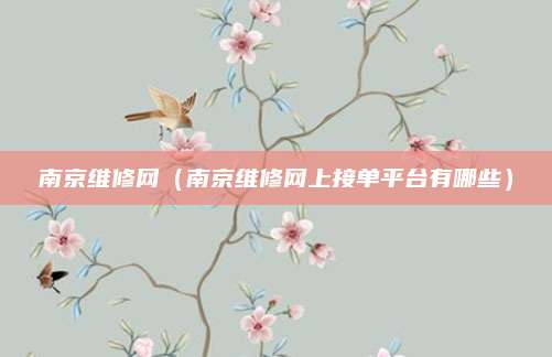 南京维修网（南京维修网上接单平台有哪些）