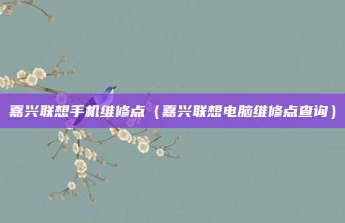 嘉兴联想手机维修点(嘉兴联想电脑维修点查询)