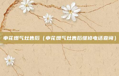 申花燃气灶售后(申花燃气灶售后维修电话查询)