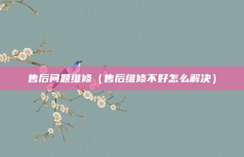 售后问题维修(售后维修不好怎么解决)