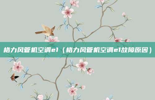 格力风管机空调e1（格力风管机空调e1故障原因）