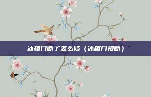 冰箱门断了怎么修（冰箱门扣断）