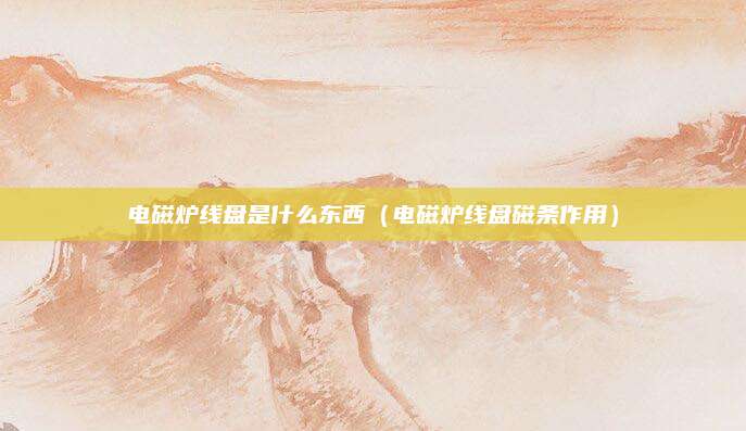 电磁炉线盘是什么东西(电磁炉线盘磁条作用)