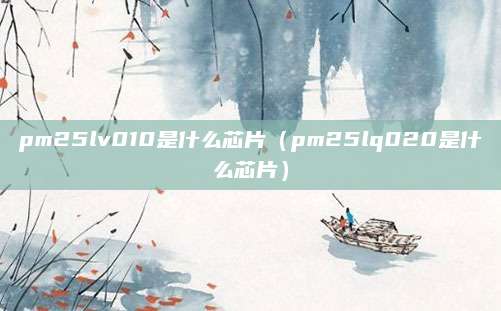 pm25lv010是什么芯片(pm25lq020是什么芯片)