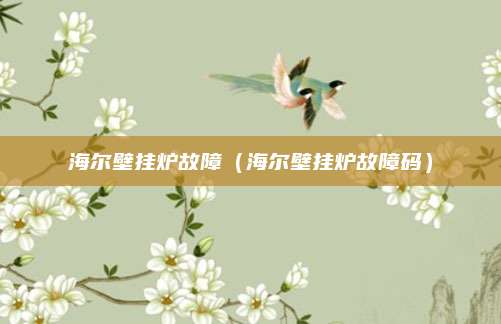 海尔壁挂炉故障(海尔壁挂炉故障码)