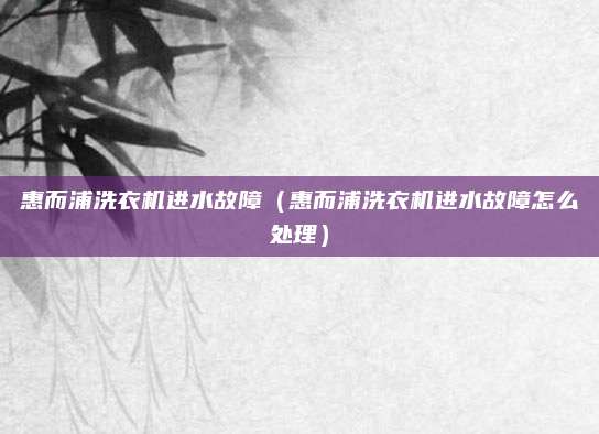 惠而浦洗衣机进水故障（惠而浦洗衣机进水故障怎么处理）