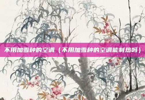 不用加雪种的空调(不用加雪种的空调能制热吗)