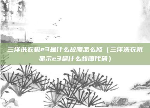 三洋洗衣机e3是什么故障怎么修(三洋洗衣机显示e3是什么故障代码)