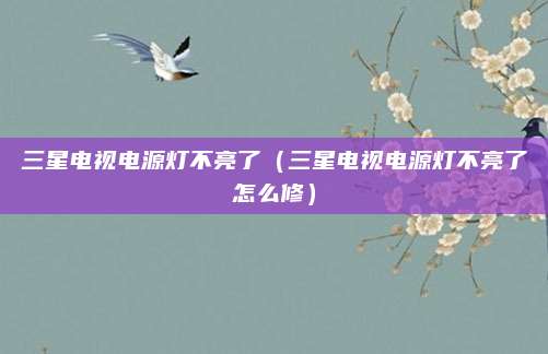 三星电视电源灯不亮了(三星电视电源灯不亮了怎么修)