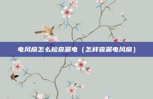 电风扇怎么检查漏电(怎样查漏电风扇)