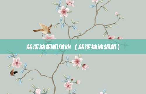 慈溪油烟机维修(慈溪抽油烟机)
