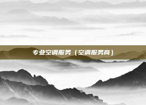 专业空调服务(空调服务商)