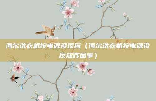海尔洗衣机按电源没反应（海尔洗衣机按电源没反应咋回事）